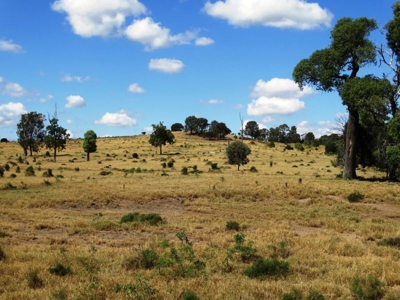 2427 ACRES “Carinya”,Gurulmundi Road, Wandoan QLD 4419