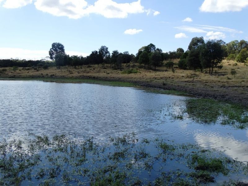 2427 ACRES “Carinya”,Gurulmundi Road, Wandoan QLD 4419