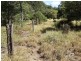 2427 ACRES “Carinya”,Gurulmundi Road, Wandoan QLD 4419