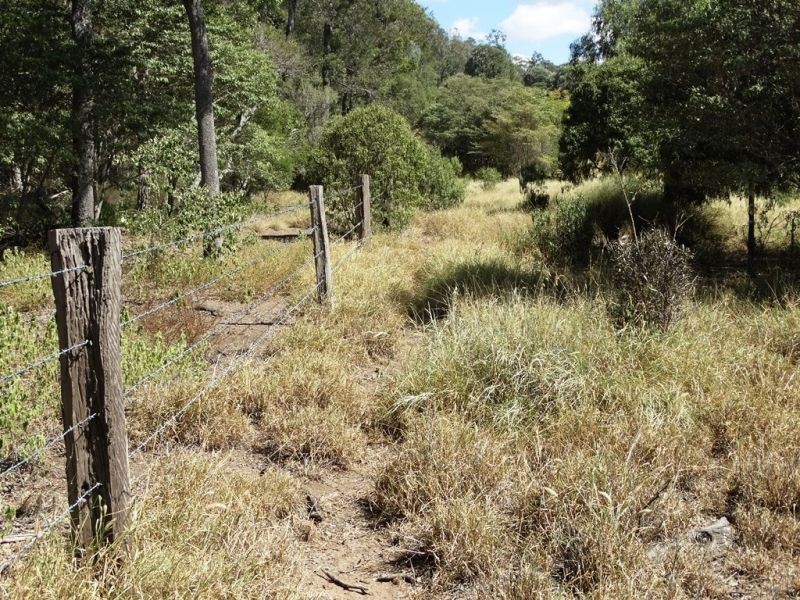 2427 ACRES “Carinya”,Gurulmundi Road, Wandoan QLD 4419