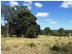 2427 ACRES “Carinya”,Gurulmundi Road, Wandoan QLD 4419