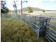 2427 ACRES “Carinya”,Gurulmundi Road, Wandoan QLD 4419