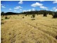 2427 ACRES “Carinya”,Gurulmundi Road, Wandoan QLD 4419