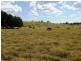 2427 ACRES “Carinya”,Gurulmundi Road, Wandoan QLD 4419