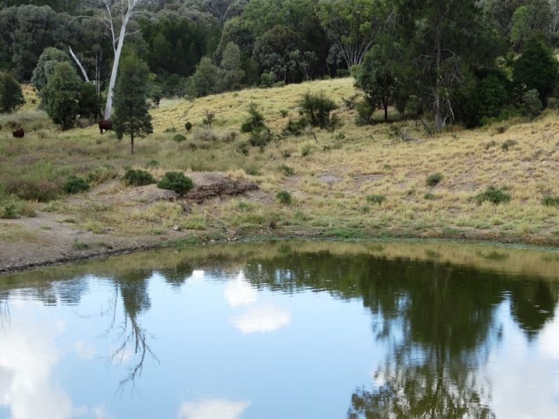 2427 ACRES “Carinya”,Gurulmundi Road, Wandoan QLD 4419