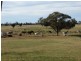 151 ACRES – 257 A McIntyres Road, Chinchilla QLD 4413