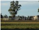 151 ACRES – 257 A McIntyres Road, Chinchilla QLD 4413