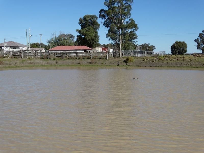 151 ACRES – 257 A McIntyres Road, Chinchilla QLD 4413