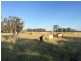 151 ACRES – 257 A McIntyres Road, Chinchilla QLD 4413