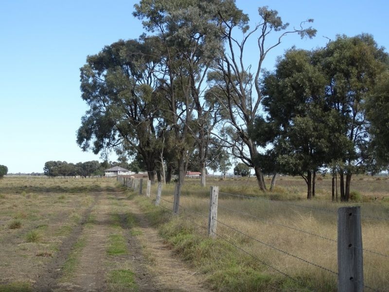 151 ACRES – 257 A McIntyres Road, Chinchilla QLD 4413