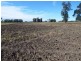 151 ACRES – 257 A McIntyres Road, Chinchilla QLD 4413