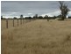 22 ACRES – Lot 2 Dawson Gates Road, Chinchilla QLD 4413