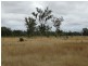 22 ACRES – Lot 2 Dawson Gates Road, Chinchilla QLD 4413