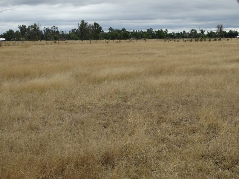 22 ACRES – Lot 2 Dawson Gates Road, Chinchilla QLD 4413