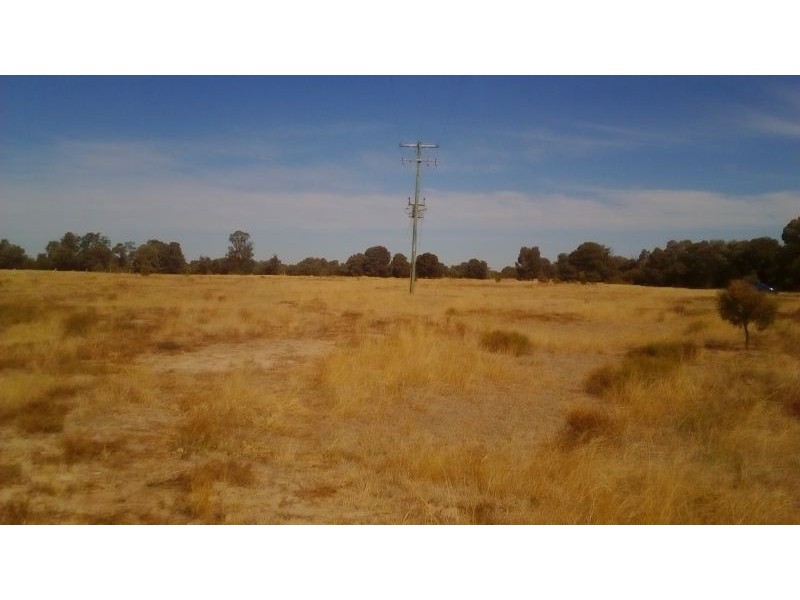 8.35 ACRES Lot 81 Surat Development Road, Tara QLD 4421