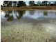 635 ACRES Clarkes Road, Chinchilla QLD 4413