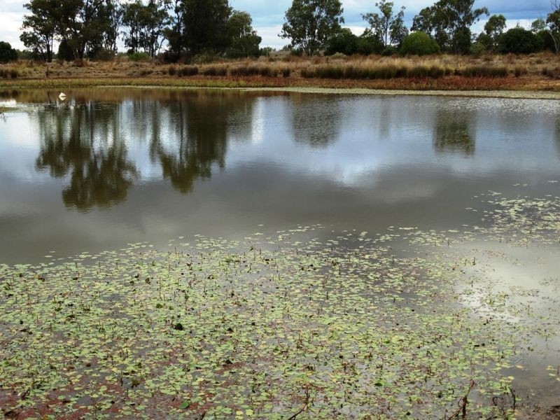 635 ACRES Clarkes Road, Chinchilla QLD 4413