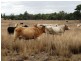 635 ACRES Clarkes Road, Chinchilla QLD 4413