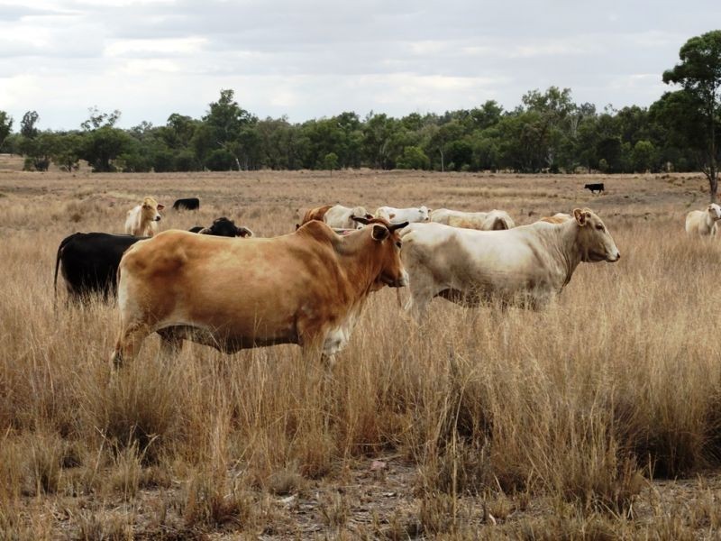 635 ACRES Clarkes Road, Chinchilla QLD 4413