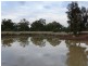 635 ACRES Clarkes Road, Chinchilla QLD 4413