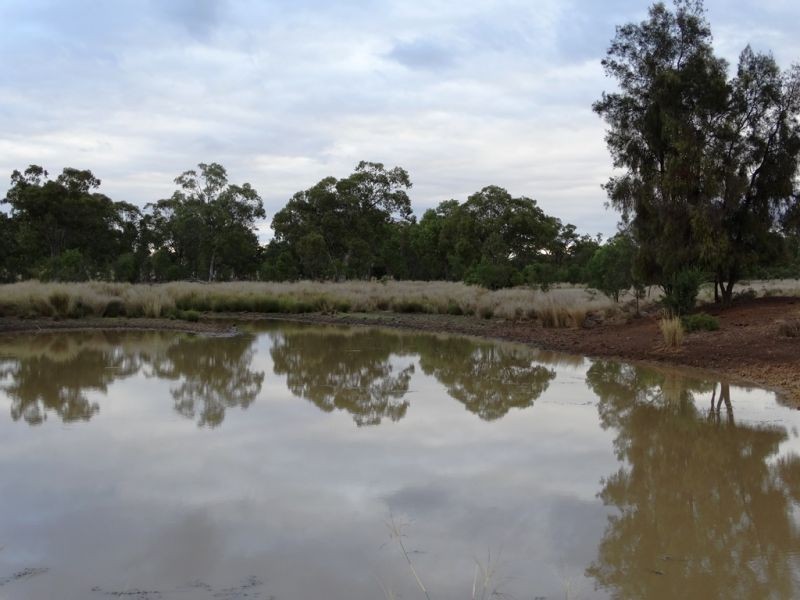 635 ACRES Clarkes Road, Chinchilla QLD 4413