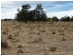 635 ACRES Clarkes Road, Chinchilla QLD 4413