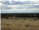 635 ACRES Clarkes Road, Chinchilla QLD 4413