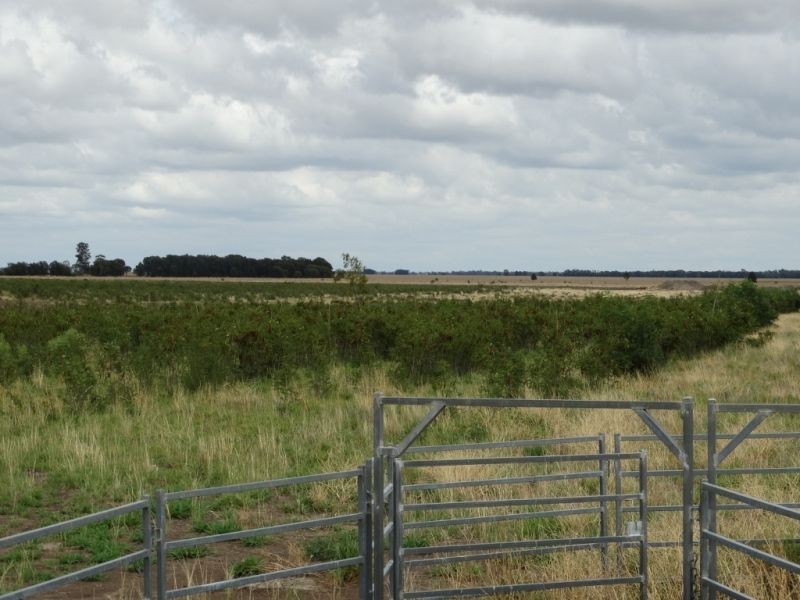 Lot 1 Wolski’s Road, Warra QLD 4411