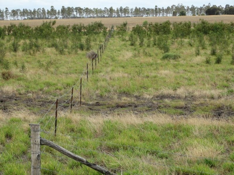 Lot 1 Wolski’s Road, Warra QLD 4411