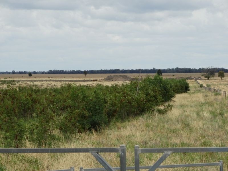 Lot 1 Wolski’s Road, Warra QLD 4411