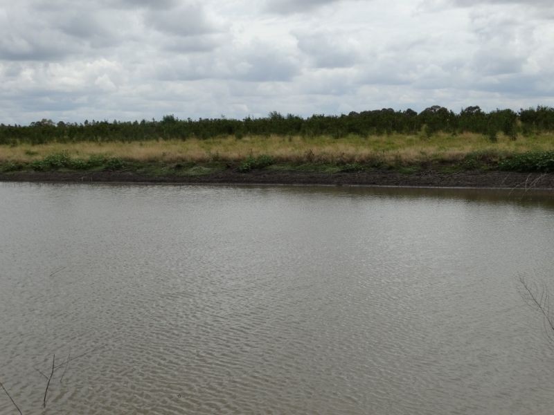 Lot 1 Wolski’s Road, Warra QLD 4411