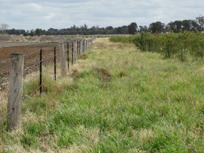Lot 1 Wolski’s Road, Warra QLD 4411