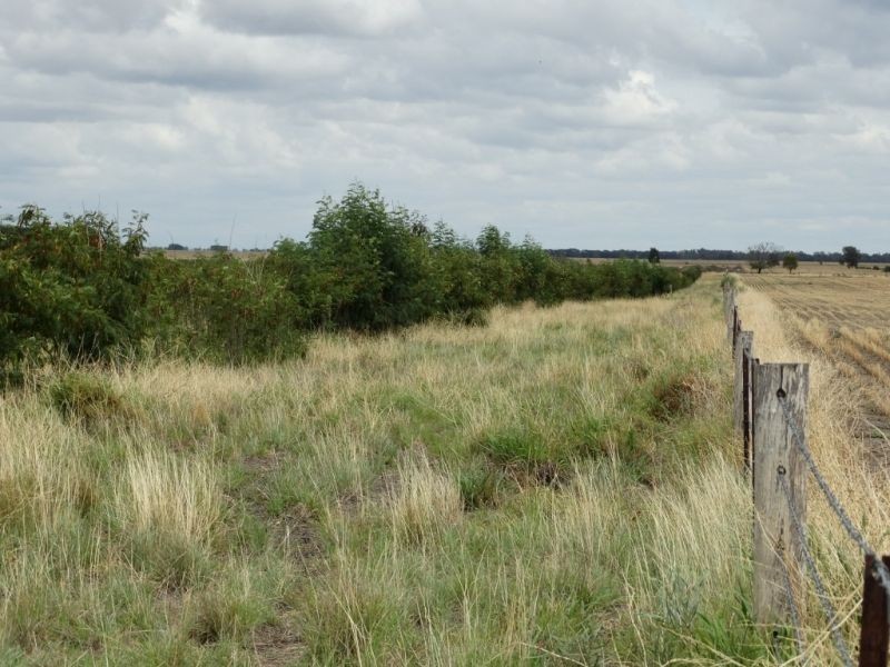 Lot 1 Wolski’s Road, Warra QLD 4411