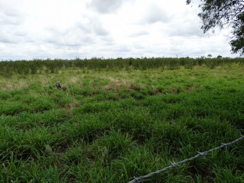 Lot 1 Wolski’s Road, Warra QLD 4411