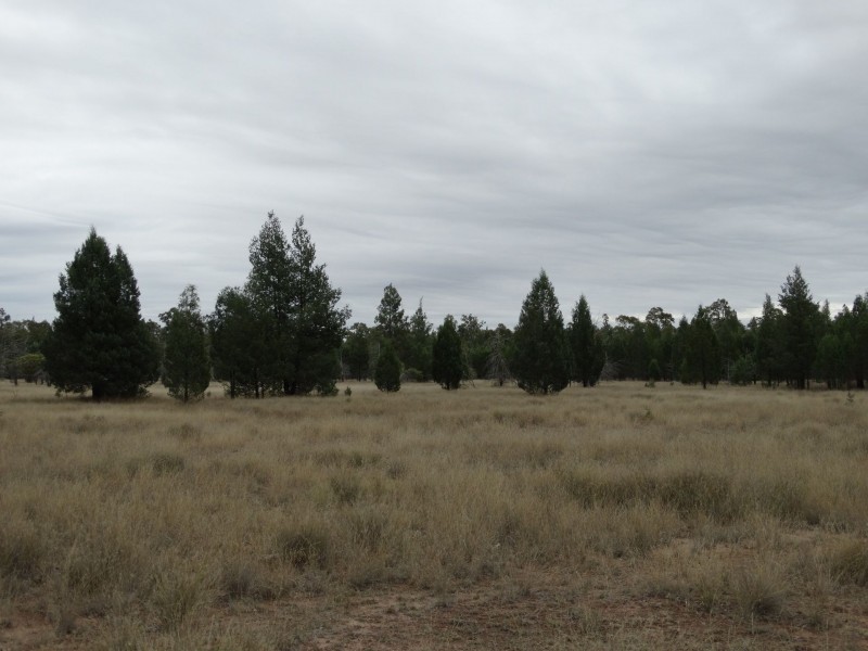 539 Engine Road, Chinchilla QLD 4413