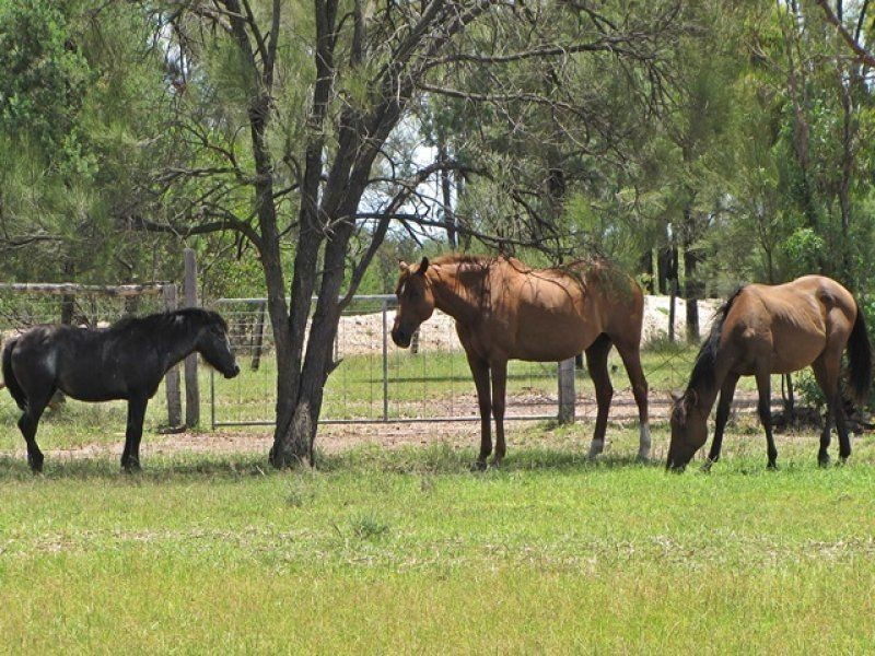 , Chinchilla QLD 4413