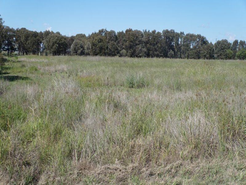 Brigalow – Canaga Road, Brigalow QLD 4412