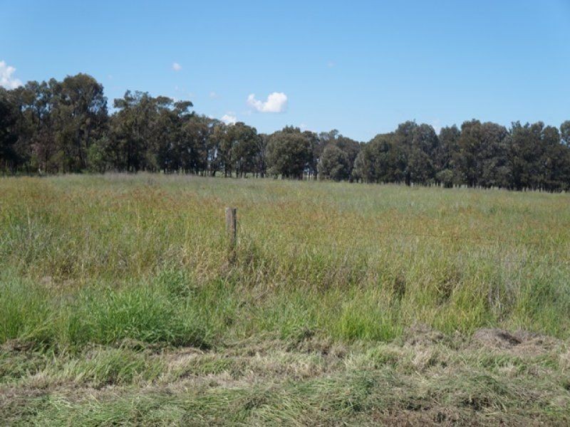 Brigalow – Canaga Road, Brigalow QLD 4412