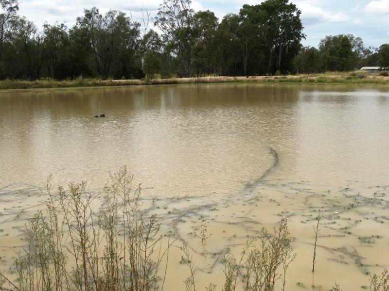 25 Acres Burnt Bridge Road, Chinchilla QLD 4413