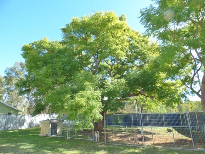 12 Middle Street, Chinchilla QLD 4413