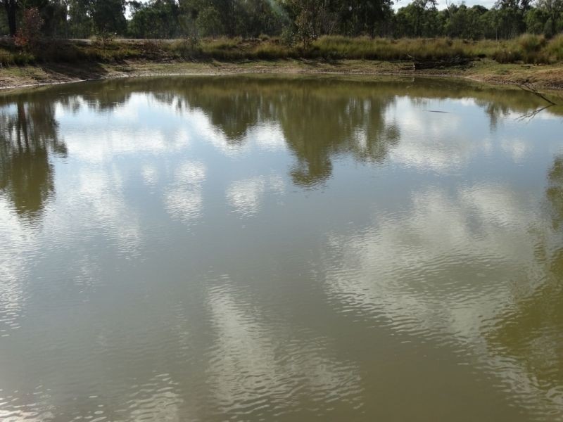 200 ACRES 2288 Burra Burri Creek Road, Chinchilla QLD 4413