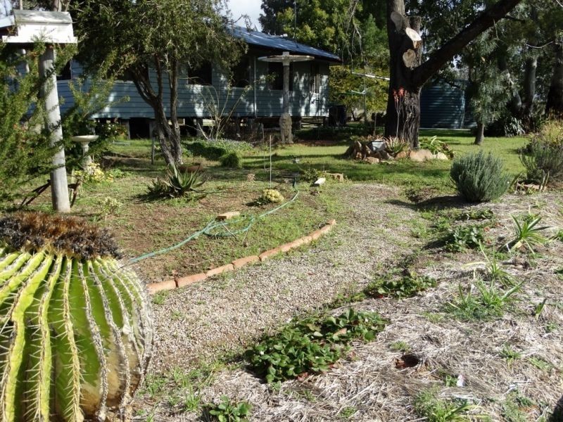 200 ACRES 2288 Burra Burri Creek Road, Chinchilla QLD 4413