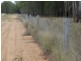 200 ACRES 2288 Burra Burri Creek Road, Chinchilla QLD 4413
