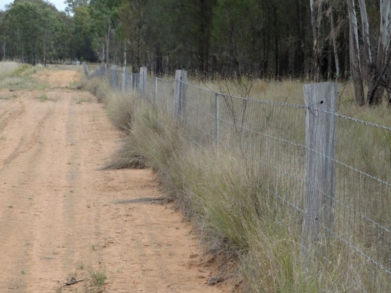 200 ACRES 2288 Burra Burri Creek Road, Chinchilla QLD 4413