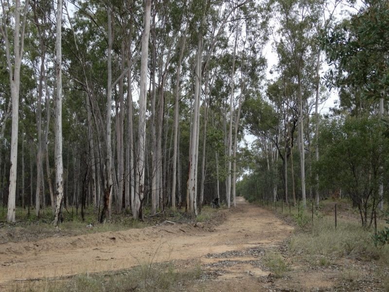 200 ACRES 2288 Burra Burri Creek Road, Chinchilla QLD 4413