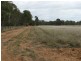 200 ACRES 2288 Burra Burri Creek Road, Chinchilla QLD 4413