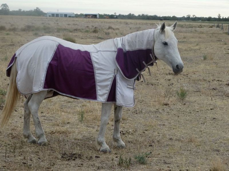 25 Acres Aerodrome Road, Chinchilla QLD 4413