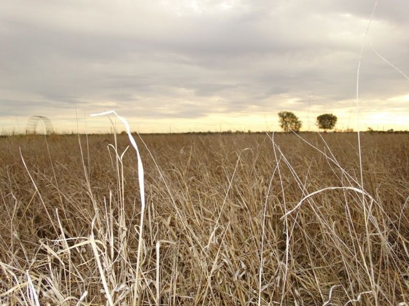 25 Acres Aerodrome Road, Chinchilla QLD 4413