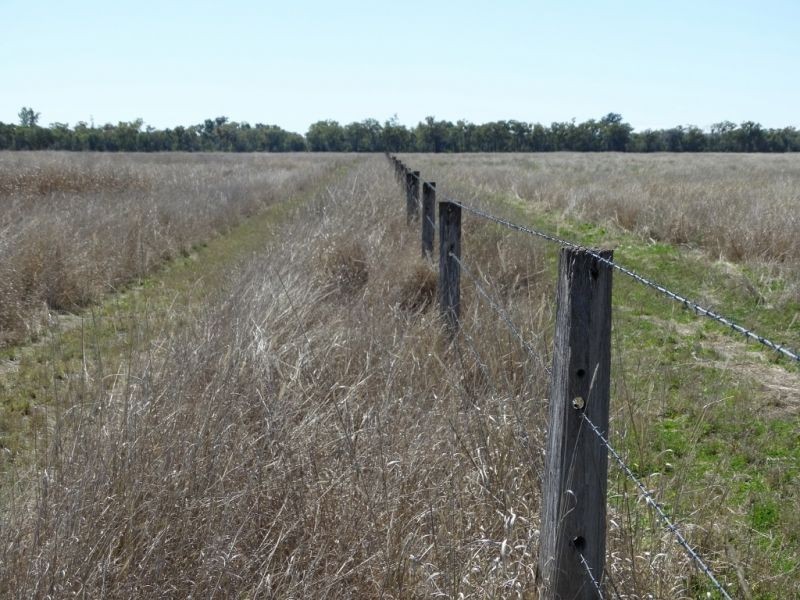 333 ACRES Canaga Park, Chinchilla QLD 4413