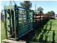 333 ACRES Canaga Park, Chinchilla QLD 4413
